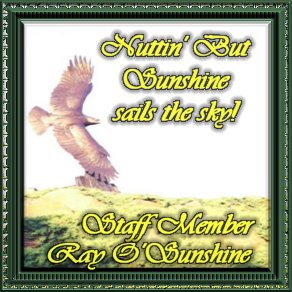 O' Sunshine proudly Sails the sky!
