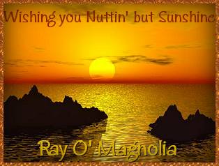 Ray O' Magnolia