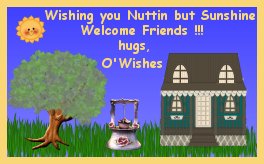 Ray O' Wishes