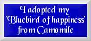 adopted for you
