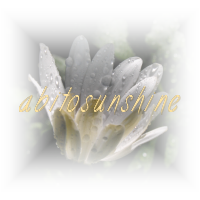 Designed by abitosunshine