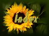 site index
