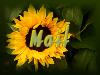 email Ruthi