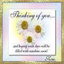 from Suzie