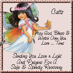 click here to visit Cattz...from Tams