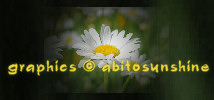 abitosunshine