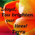 Terry