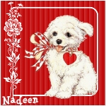 Nadeen
